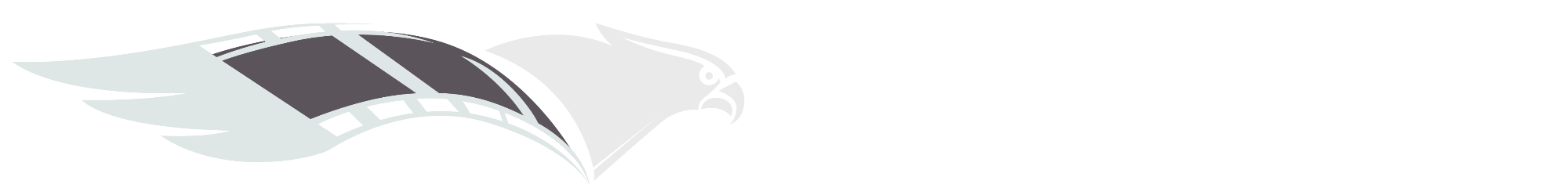 Falcon Eye
